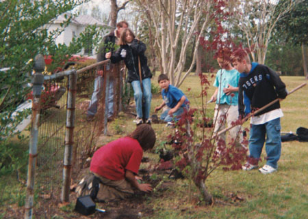 garden3